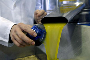 aceite de oliva virgen extra 5L cooperativa